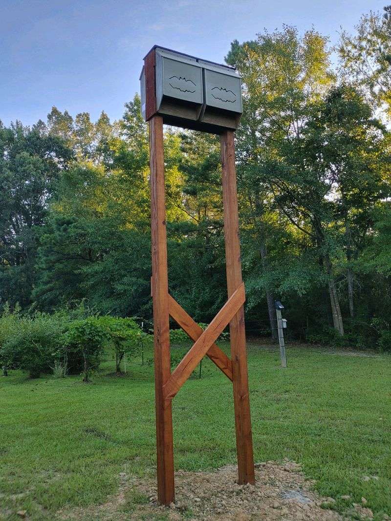 What a Bat House Can—and Cannot—Do