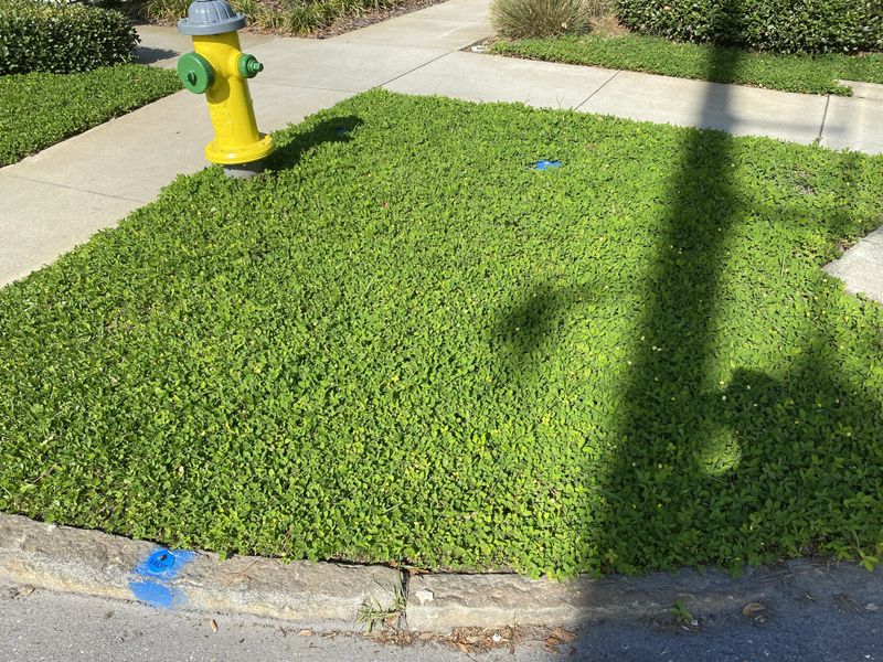 Manage Traffic, Dormancy, And Spreading