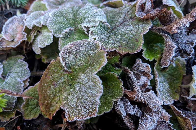 Manage Water And Winter Exposure Without Overpromising