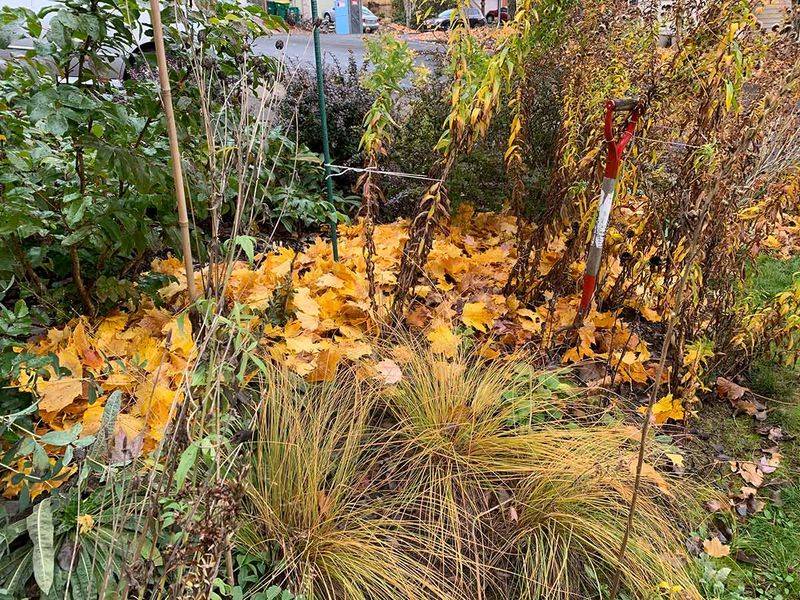 Protect Leaves, Soil, And Nighttime Signals