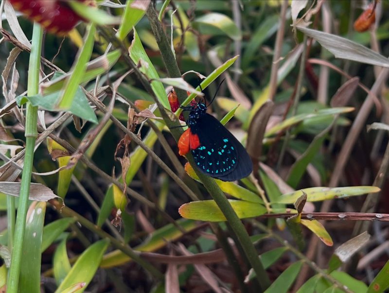 Protect the Landscape Without Overpromising Wildlife or Pest Control