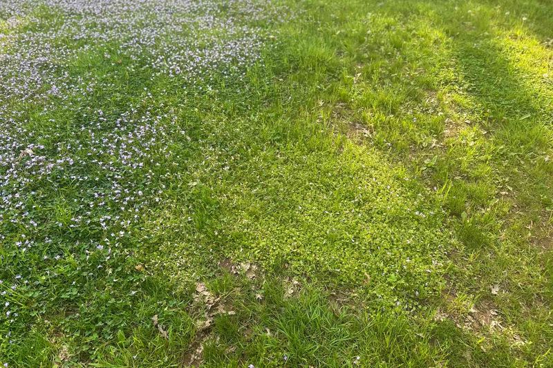 Weather And Microclimate Still Matter