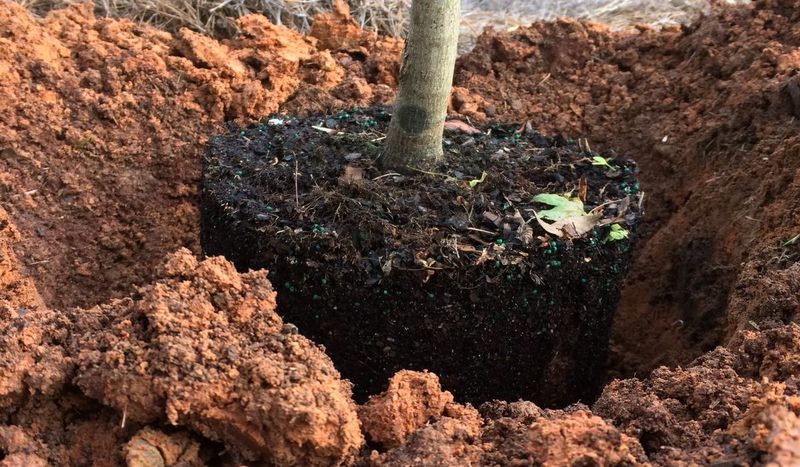 Your Red Clay Is A Nutrient Powerhouse
