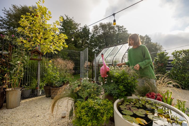 The Garden Reveals More Than Growth