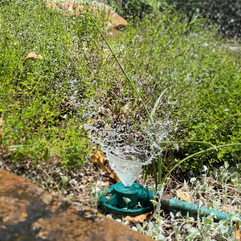 The Right Amount Of Water Makes The Difference