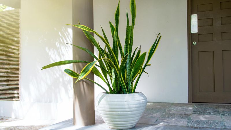 Maintain Consistent Warm Temperatures