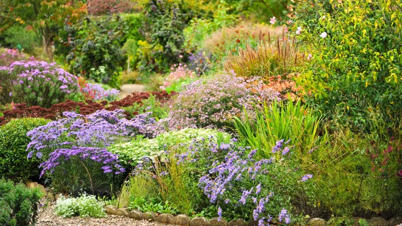 Build Habitat Beyond The Feeder