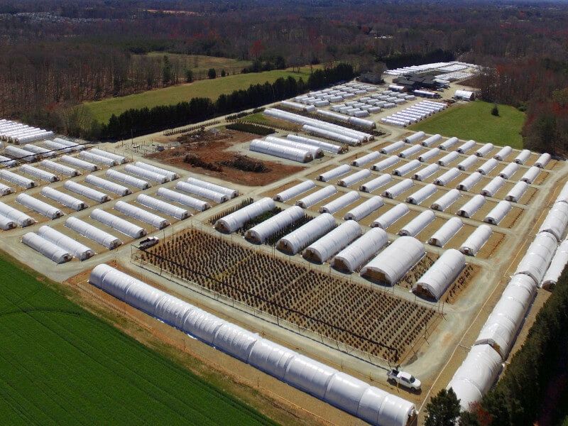 Colfax Growers Match Every Plant To The Site