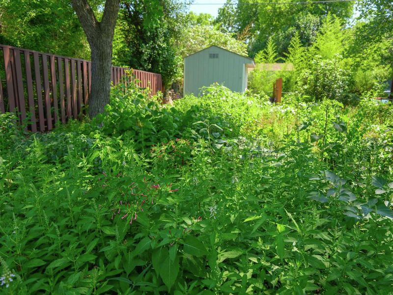 Create Connected Cover Instead Of A Magic Planting