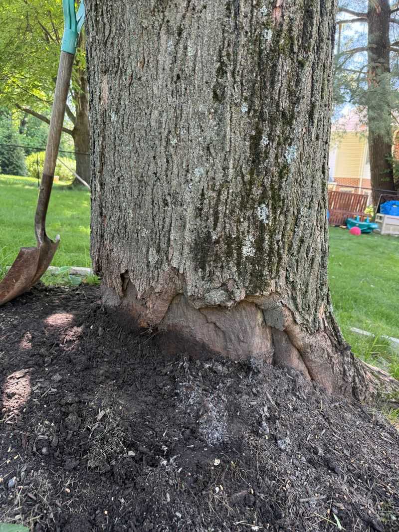 Start Where the Sawdust Came From