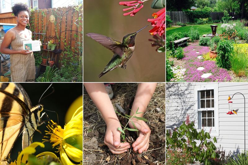 Make the Yard Safer Than a Feeder Alone