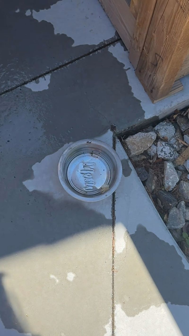 Build the Real Mosquito Plan Around Water