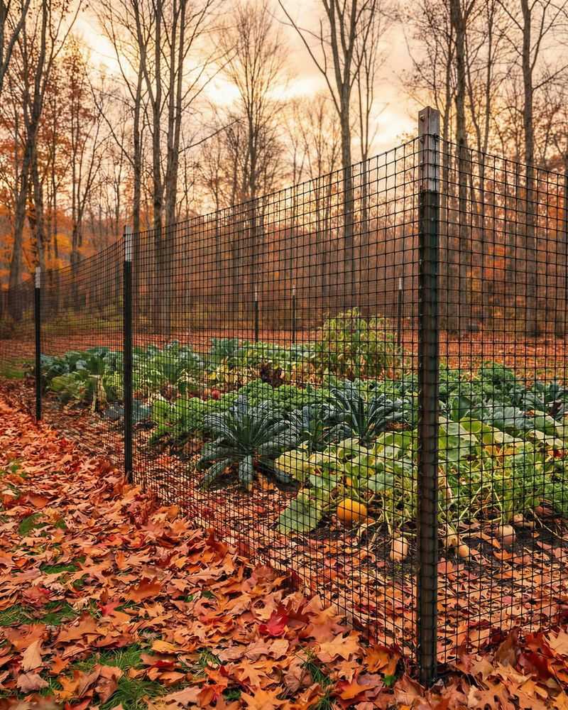 Deer Resistance Still Needs A Backup Plan