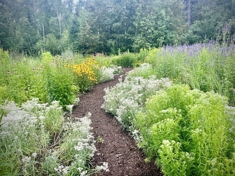 What Else Actually Helps These Native Patches Flourish