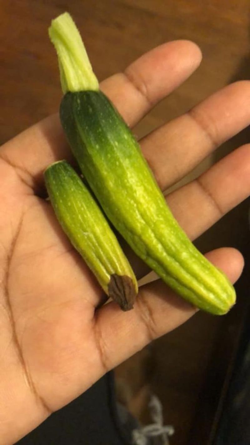 A Tiny Zucchini Can Still Abort