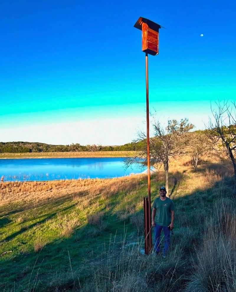Choose the Right Goal for Your Backyard