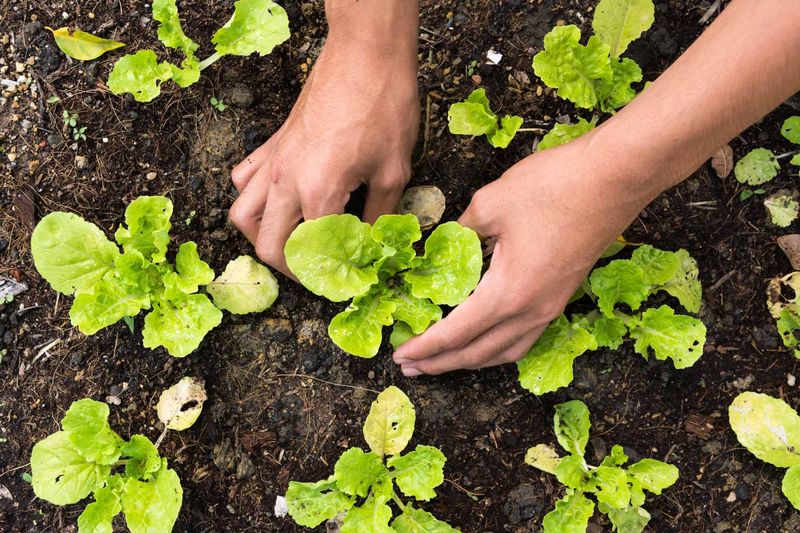 Protect the Harvest Without Chasing Perfection