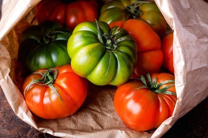 Finish Suitable Fruit Ripening Indoors