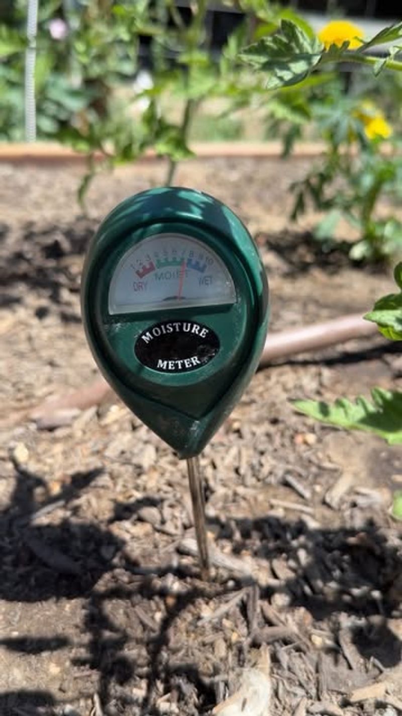 Use Rainfall To Adjust Irrigation, Not Abandon It