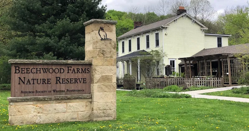 Audubon's Beechwood Farms Native Plant Nursery, Pittsburgh
