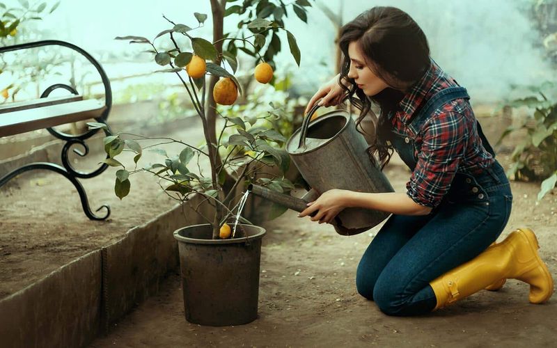 Water the Root Zone, Not the Calendar