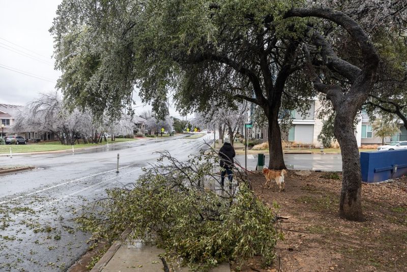 Storm Damage Overrides the Schedule
