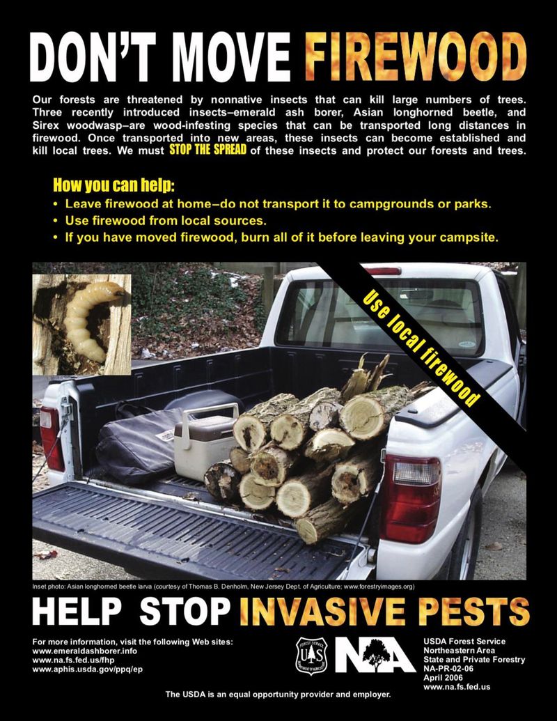 Do Not Transport Wood Or Tree Material