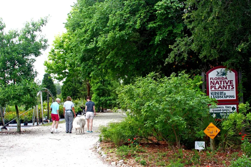What These Nurseries Do For Florida's Wild Places