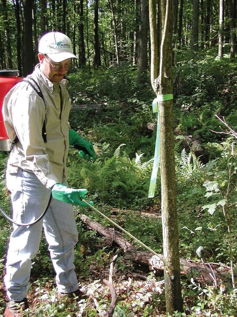 Control Invaders While Populations Stay Small