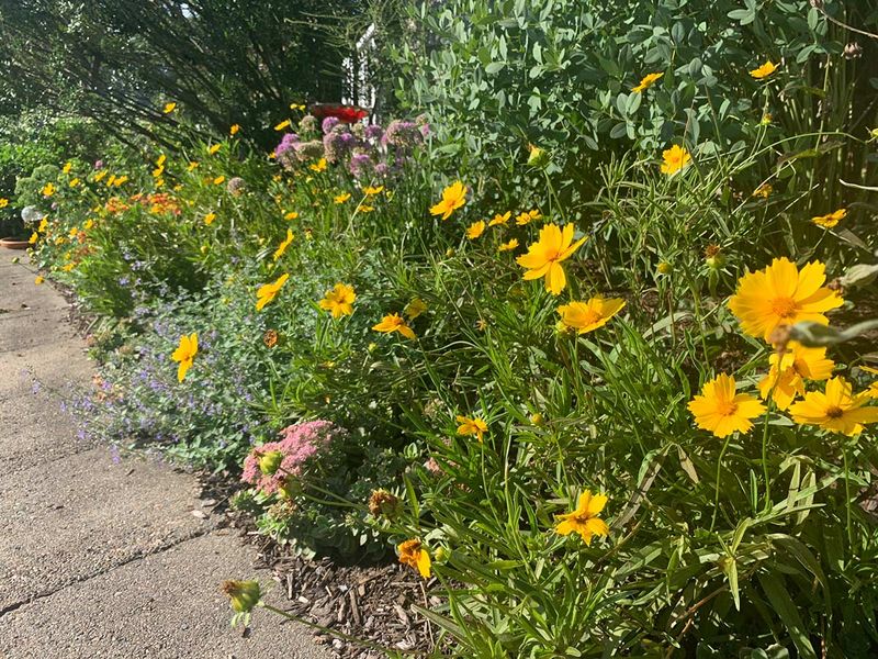 Maintain Habitat Without Neglecting The Garden