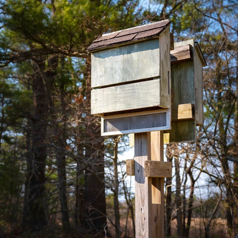 Pair a Bat House With Suitable Habitat