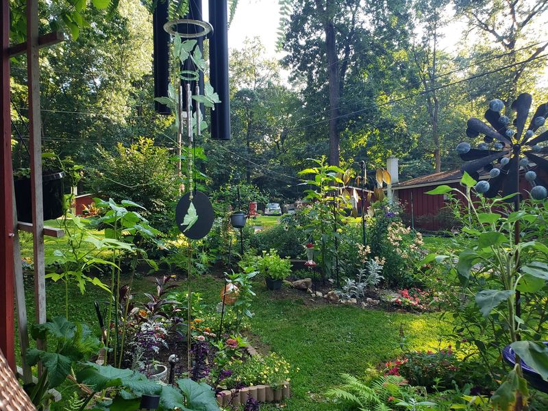 Support the Habitat Without Rebuilding the Whole Yard