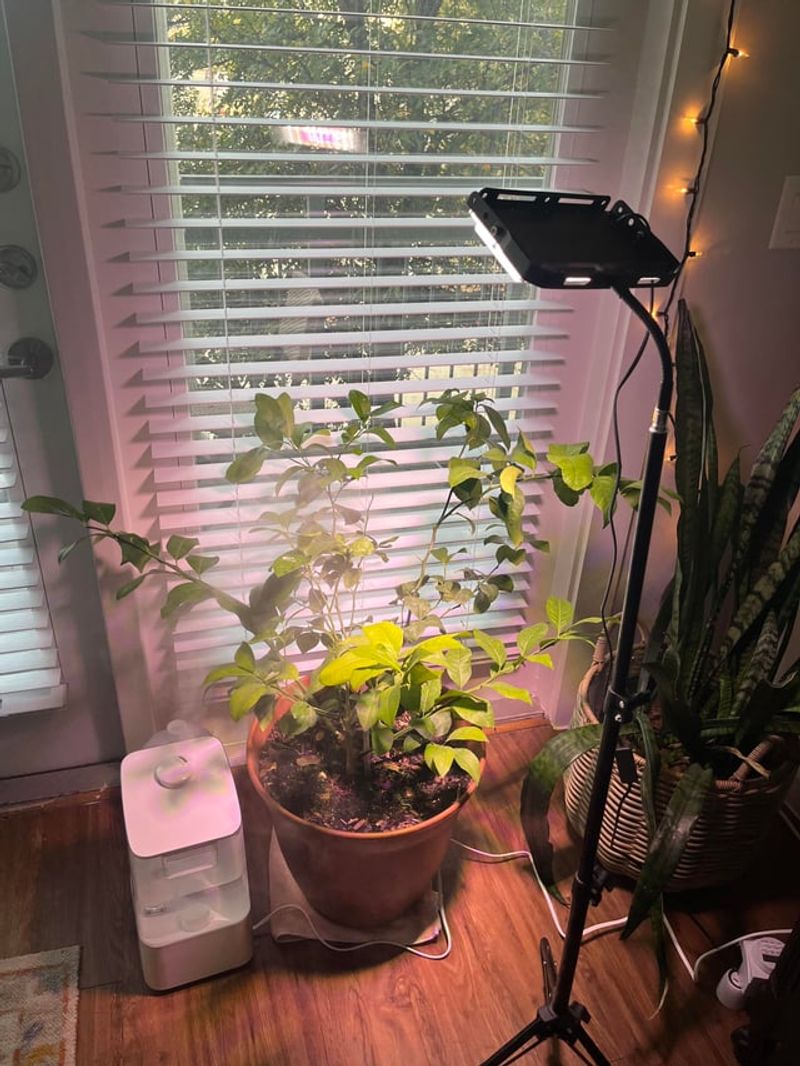 Plan For Overwintering While Enjoying Summer's Bounty