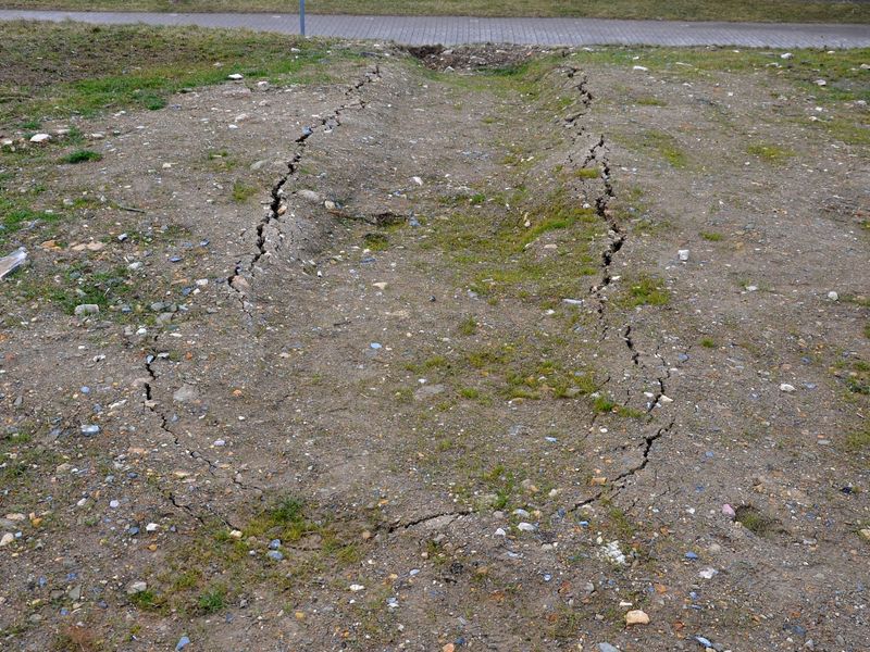 Treat Turf Differently From A Bare Bed