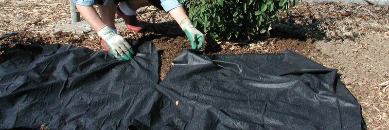 Mulch and Covering Buy Time