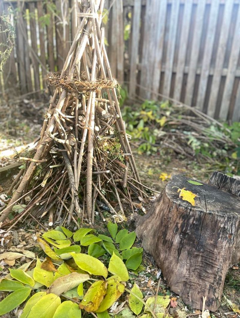 Shape the Yard Around Cover and Moisture