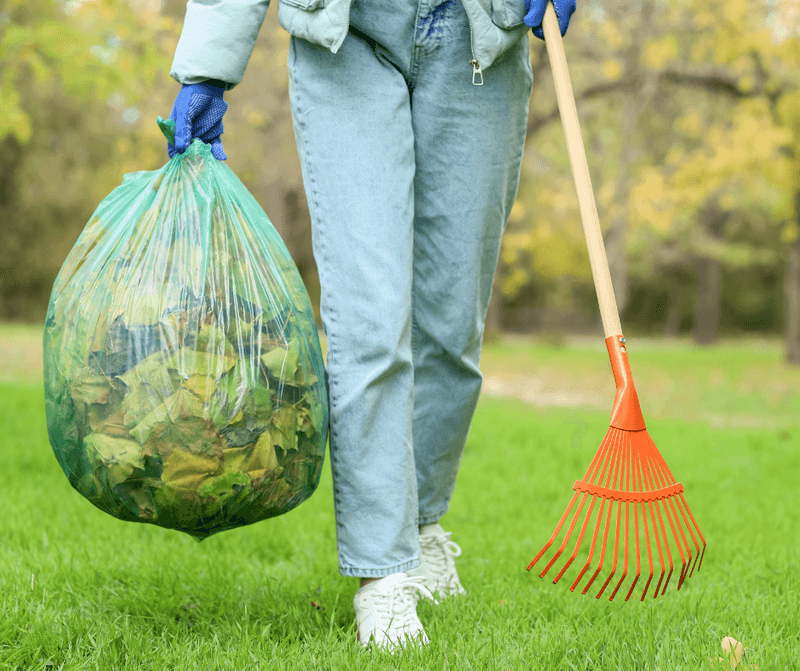 Cleanup Can Bring You Into Tick Habitat