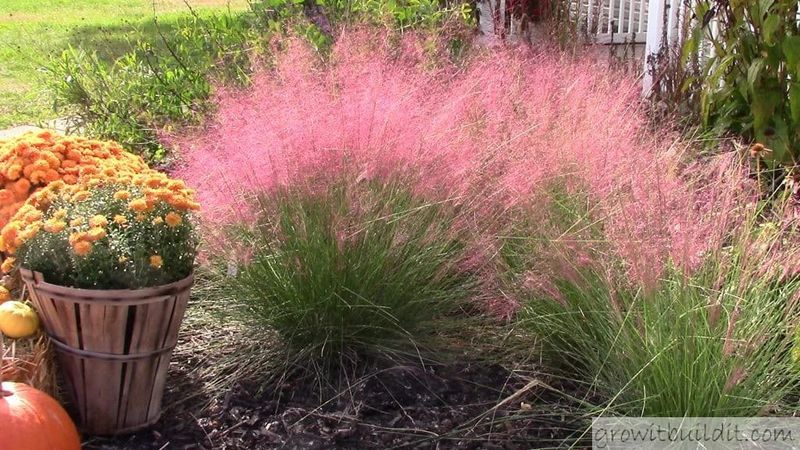 Start With Ground-Level Seed And Feeding Space