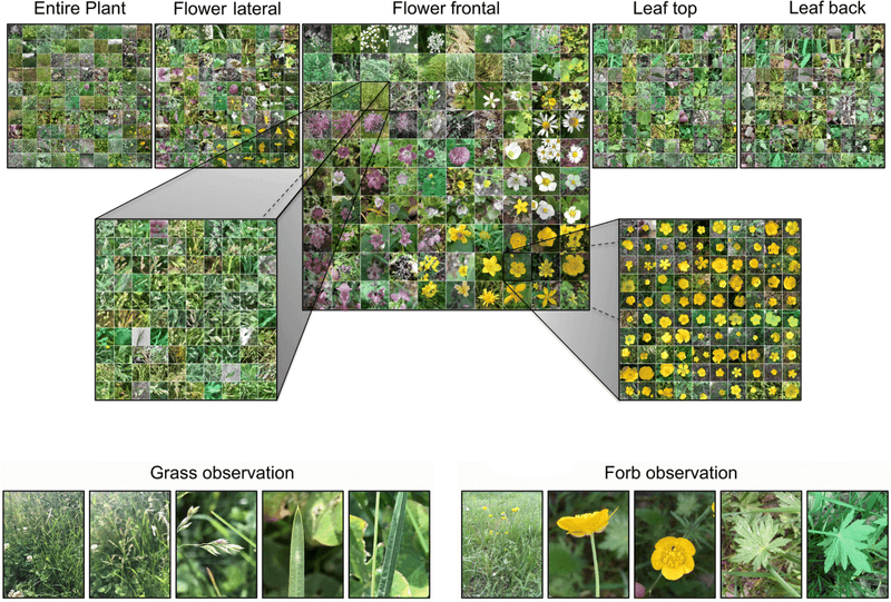 Use Four Views As Evidence, Not Proof