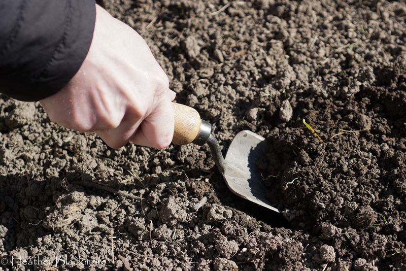 Spend First on Soil, Not Products