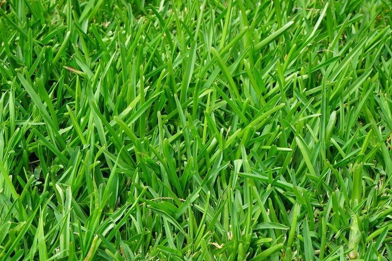 Put Storm Nitrogen in Context