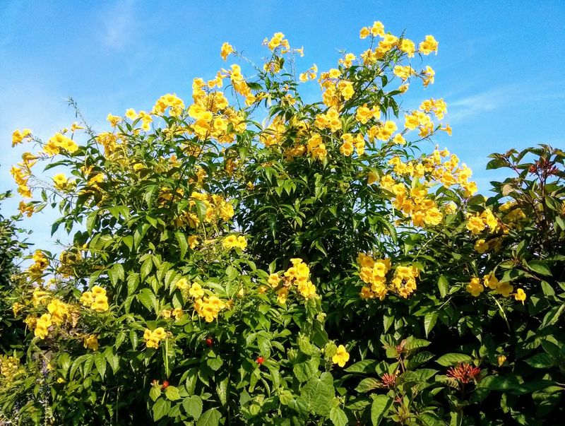 Save Hard Pruning For A Safer Window