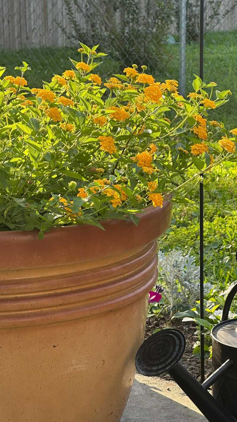 Save The Hard Cut For Spring