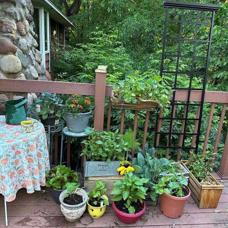 Let Sun and Containers Set the Limits