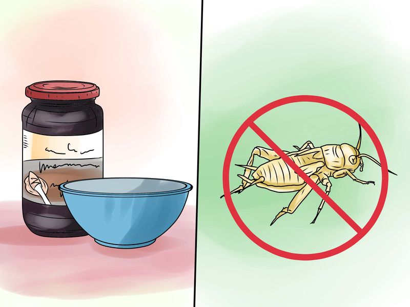 Do Not Feed Geckos or Use Risky Porch Shortcuts