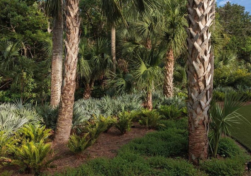 Use Six Plants To Strengthen The Habitat