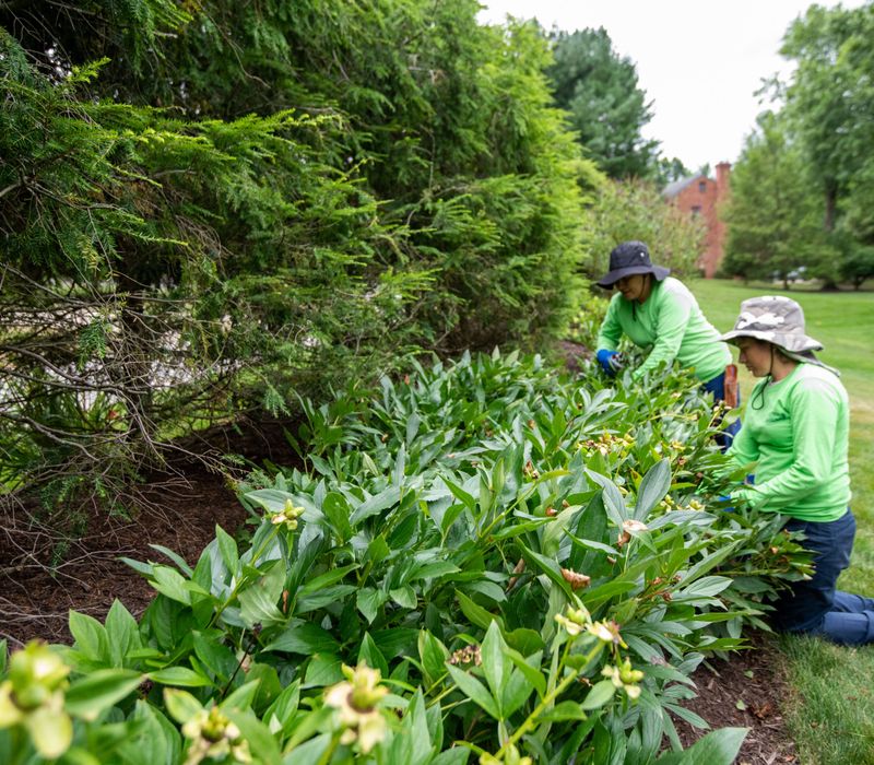 Give New Plants A Careful Start