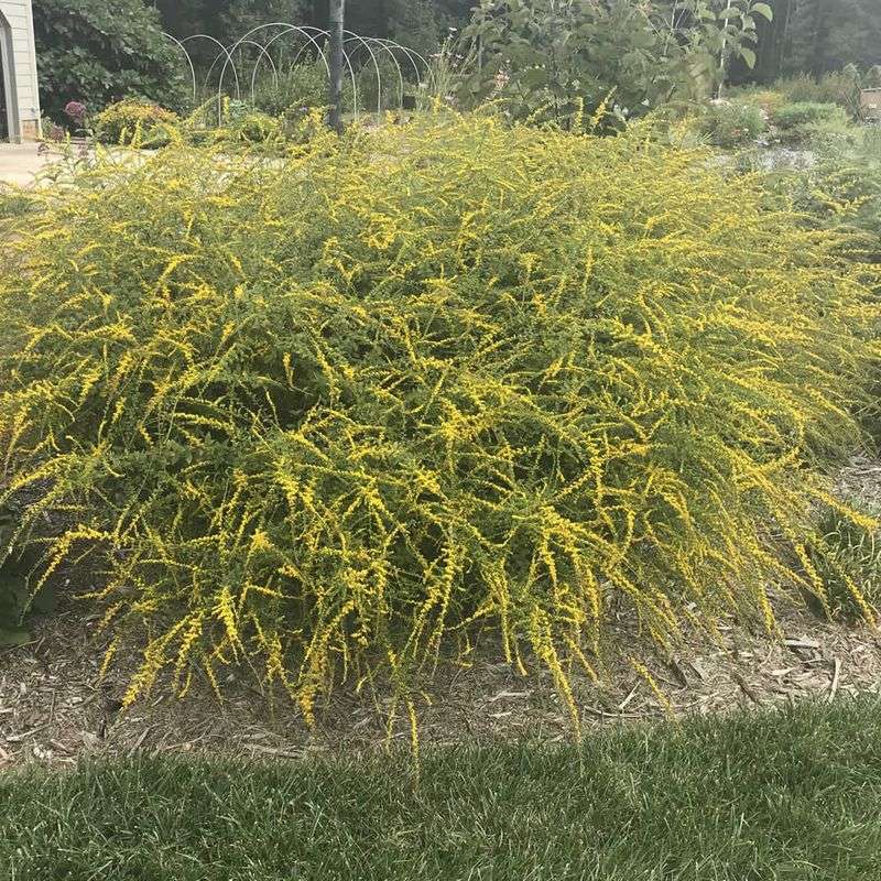 Plant It While The Soil Is Workable