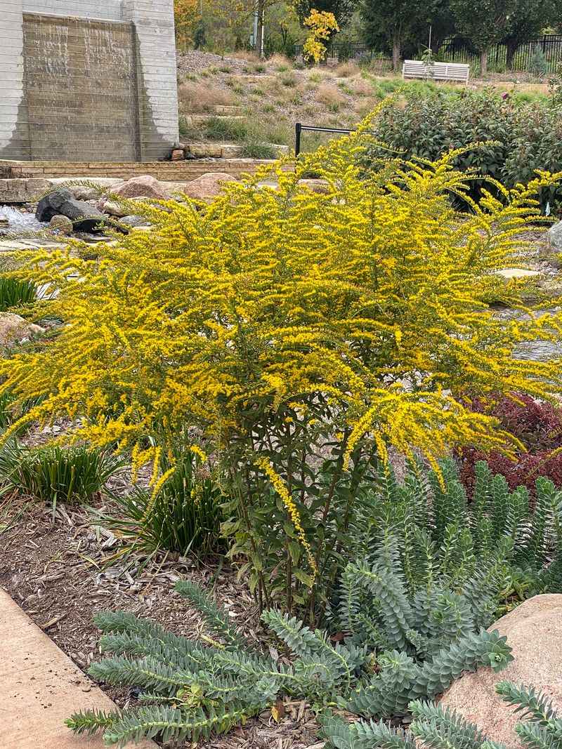 Give New Plants A Thorough Start