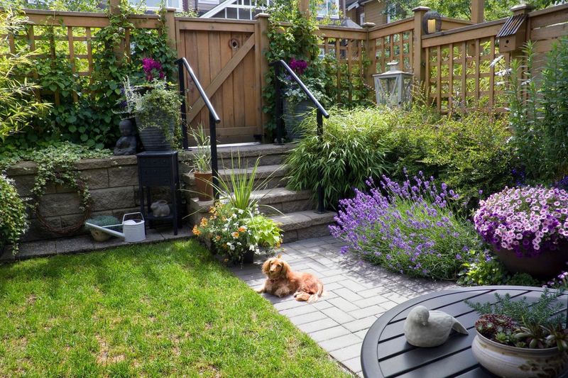 Set a Clear Boundary for Pets, Children, and Wildlife